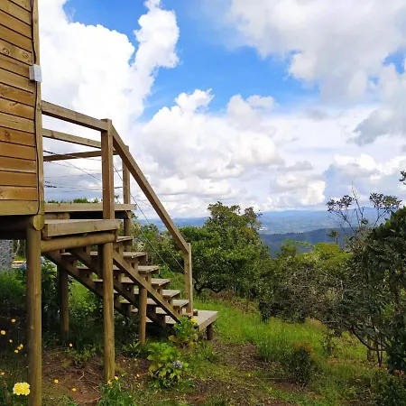 Terravista